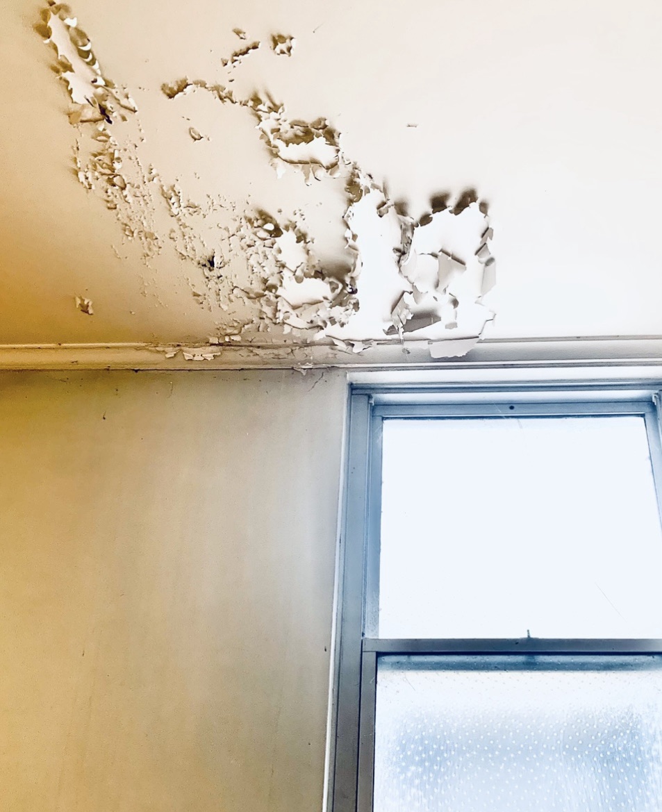 letting go… again…