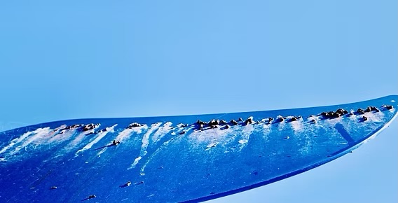 holy moly – it’s&nbsp;true