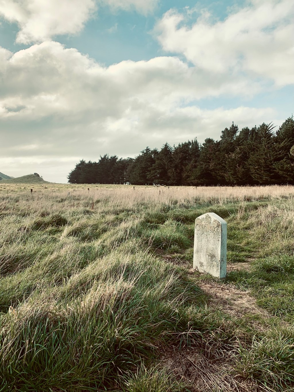 Zechariah 9 v&nbsp;12